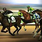 horse bet game
